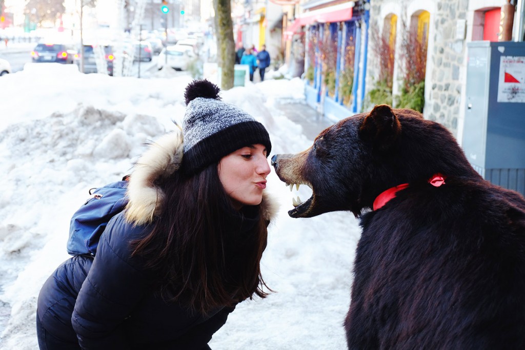 Refuse to hibernate Québec Audrey et un ours