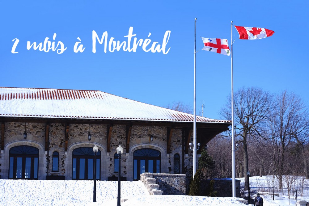 PVT Canada, bilan de nos deux premiers mois à Montréal