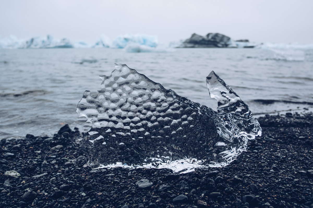 Refuse to hibernate islande jokulsarlon iceberg lapin