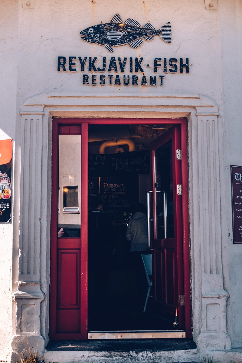 Refuse to hibernate reykjavik fish restaurant