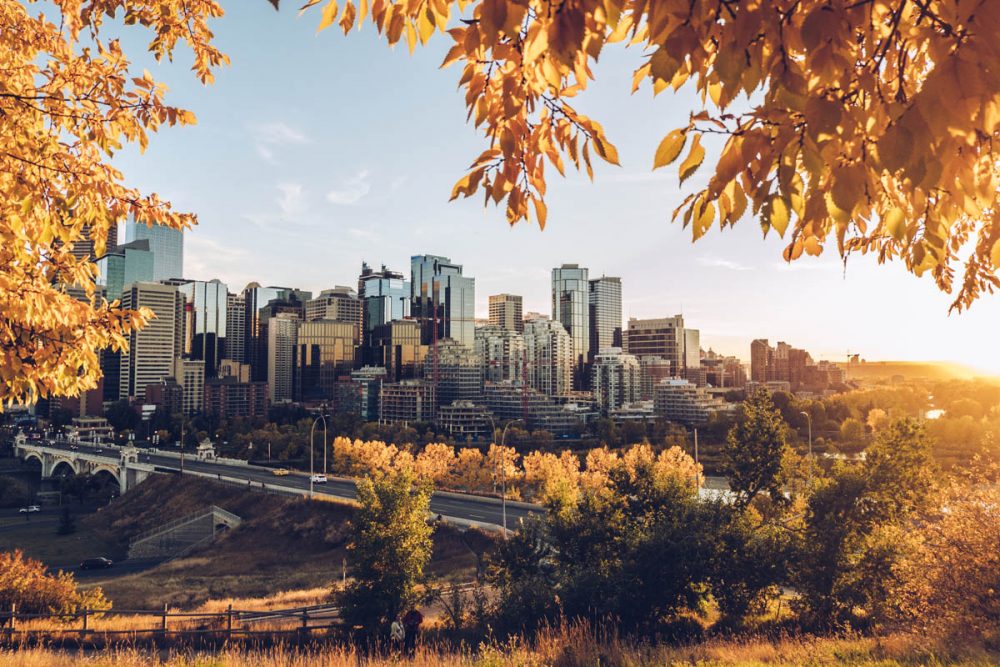 Visiter Calgary en 1 jour : que voir et faire ?