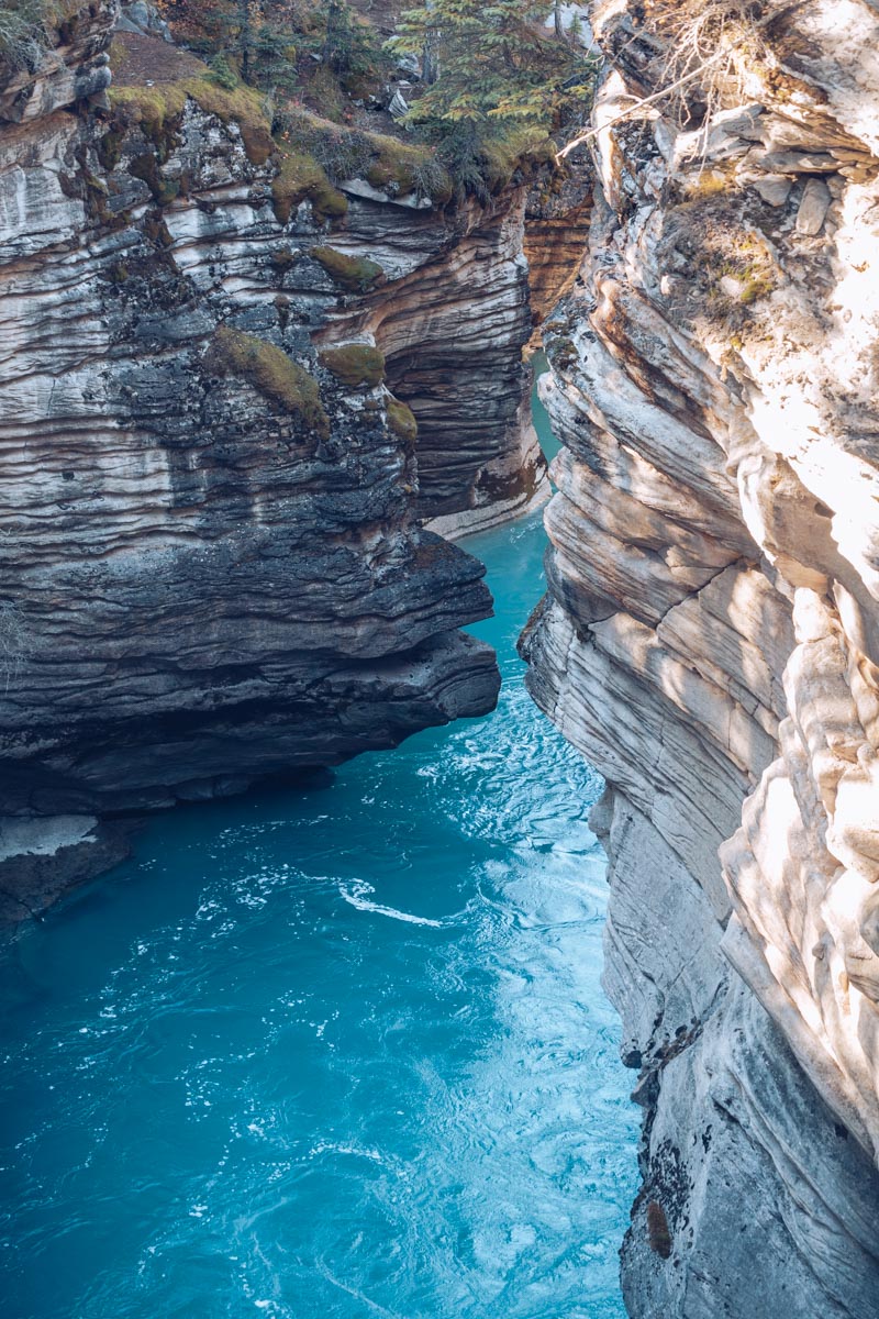 Refuse to hibernate Ouest canadien athabasca falls eau turquoise