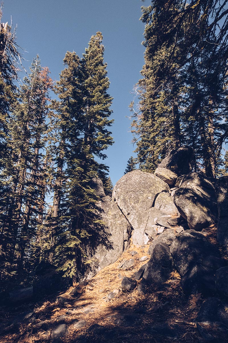 Refuse to hibernate Yosemite Taft Point randonnée rocher