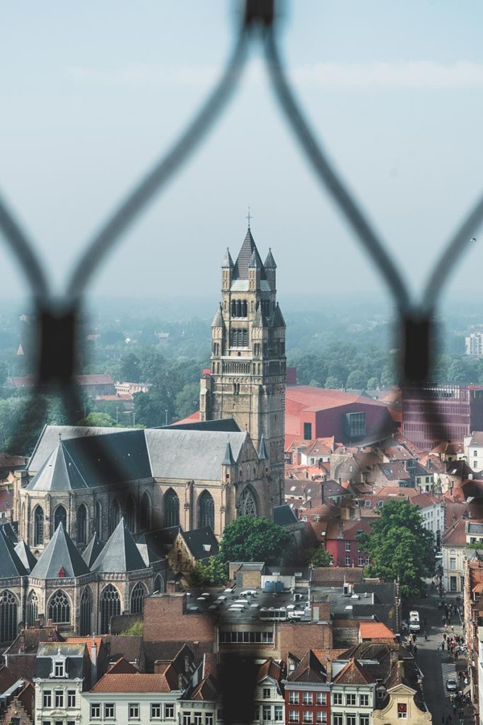 Refuse to hibernate Bruges Cathédrale Saint-Sauveur