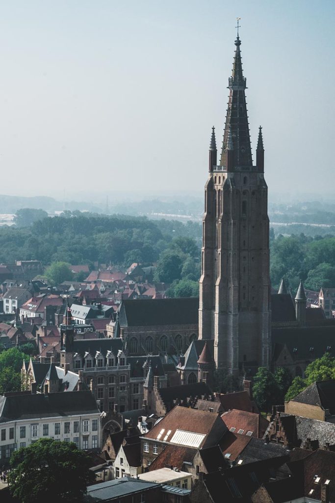 Refuse to hibernate Bruges église Notre-Dame
