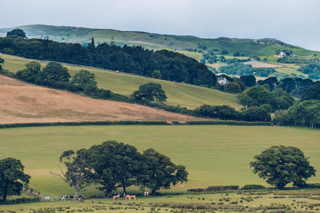 Refuse to hibernate Pays de Galles Furnace Farm vue