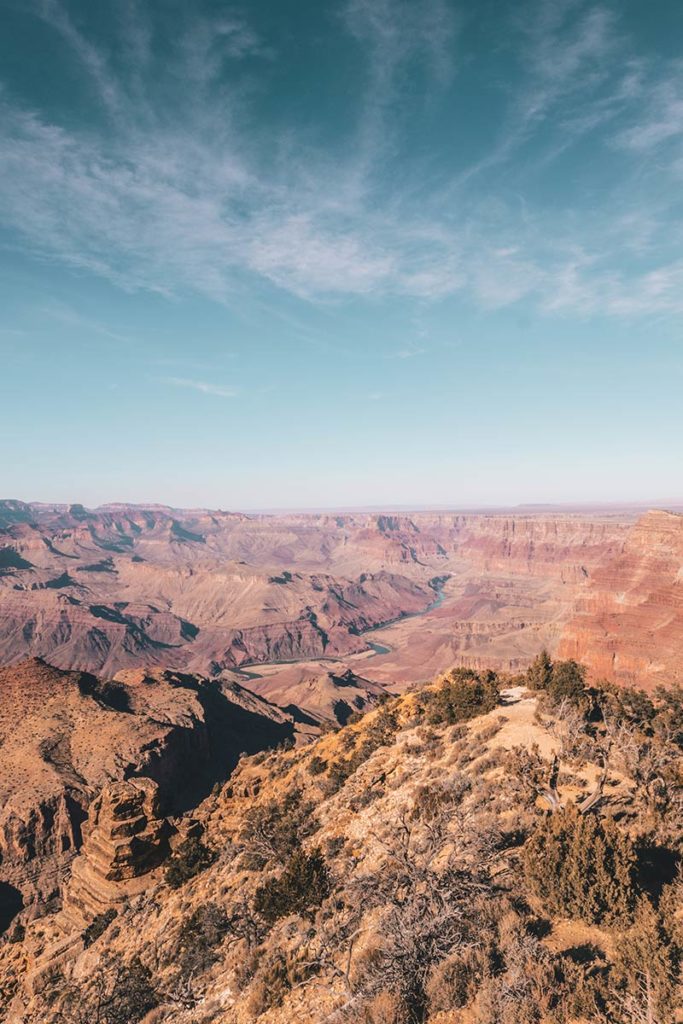 Grand Canyon Desert View Refuse to hibernate