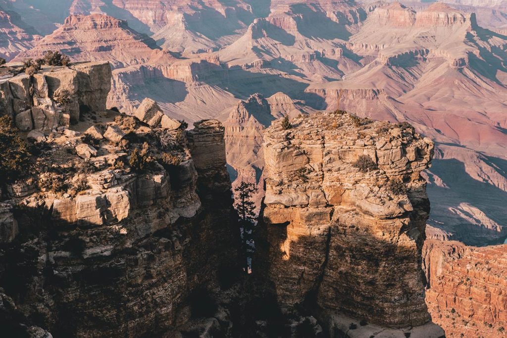 Grand Canyon Navajo Point focus Refuse to hibernate