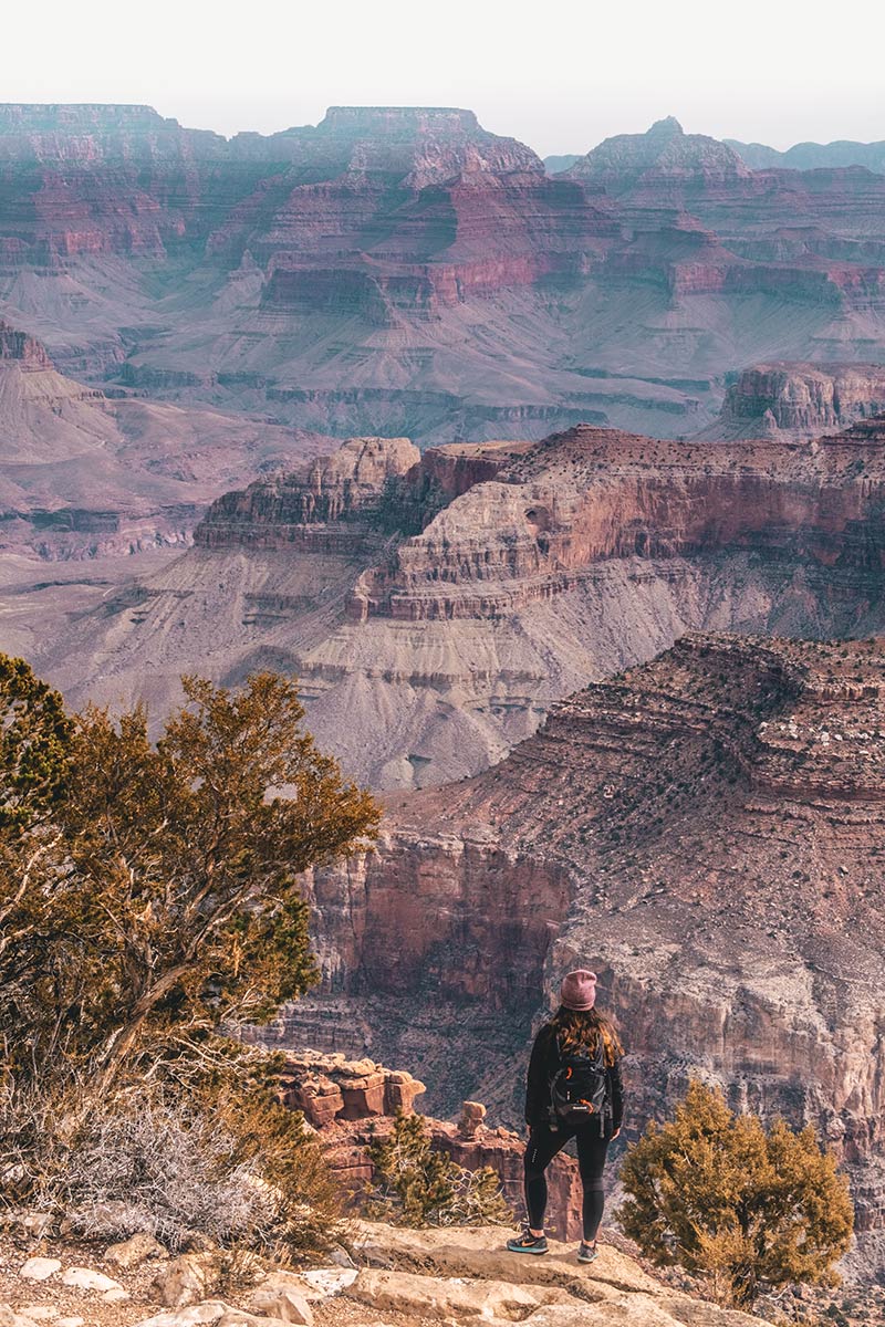 Grand Canyon Rim Trail Audrey Refuse to hibernate