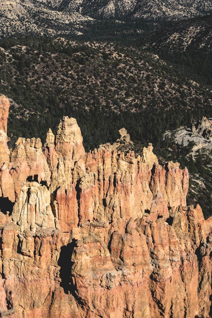 Utah Bryce Canyon Rainbow point focus Refuse to hibernate