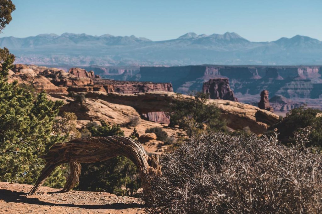 Utah Canyonlands National Park Mesa arch Refuse to hibernate