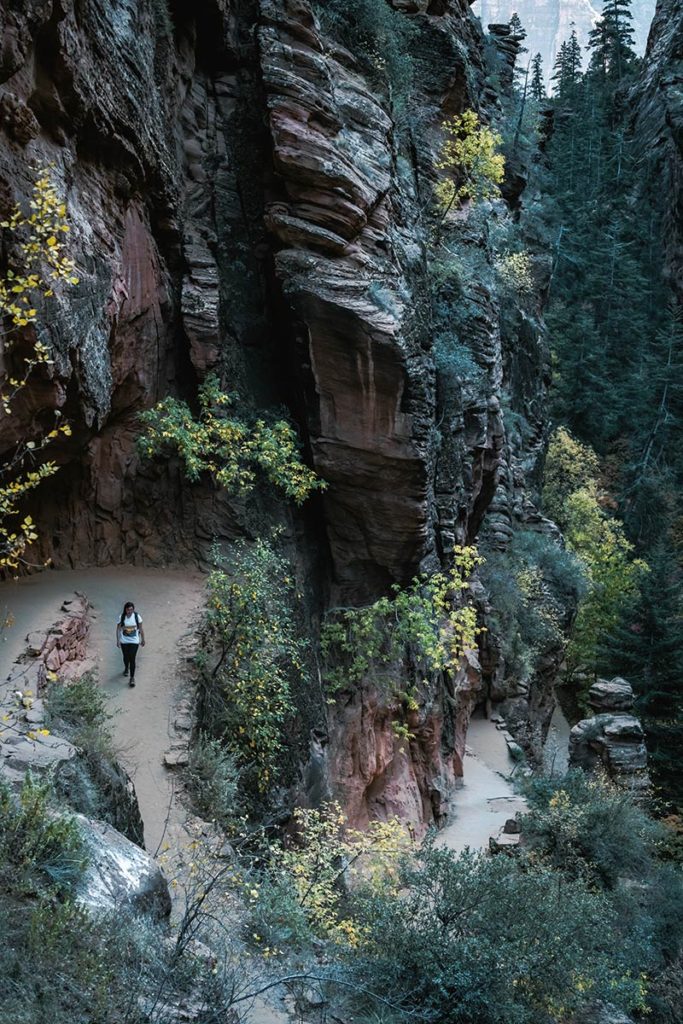Utah Zion National Park Angels landing trail Audrey sentier Refuse to hibernate