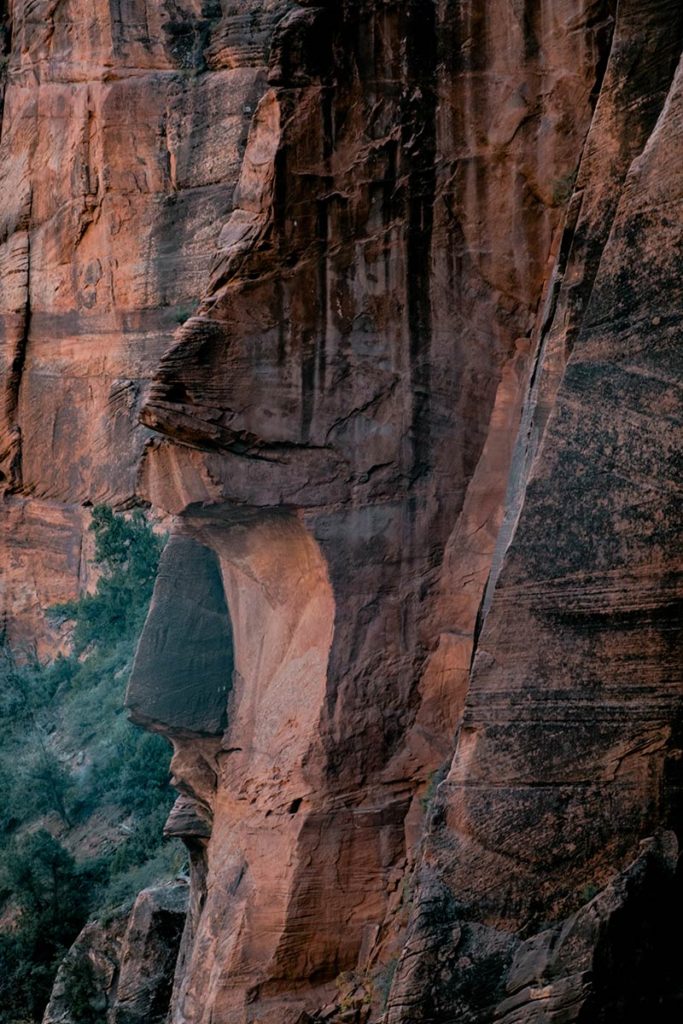 Utah Zion National Park Angels landing trail visage roche Refuse to hibernate