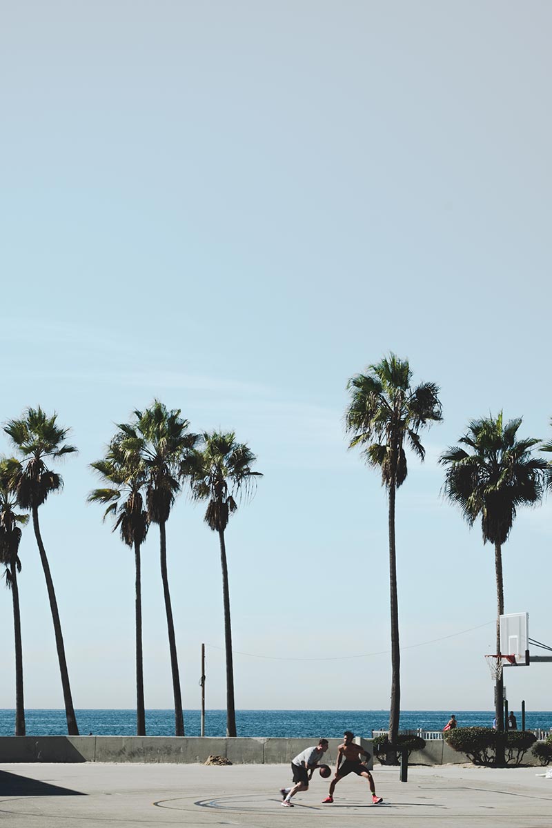 Los Angeles refuse to hibernate Venice Beach basket