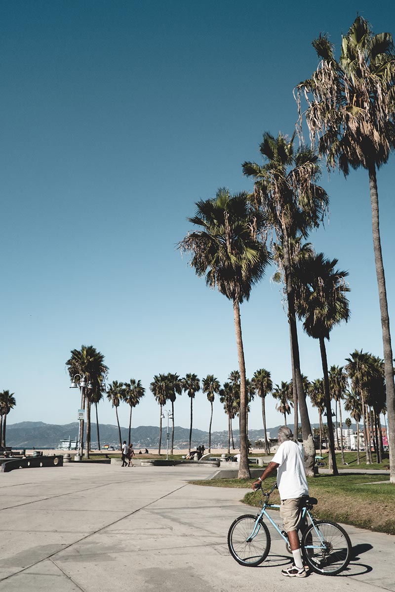 Los Angeles refuse to hibernate Venice Beach l'homme au vélo