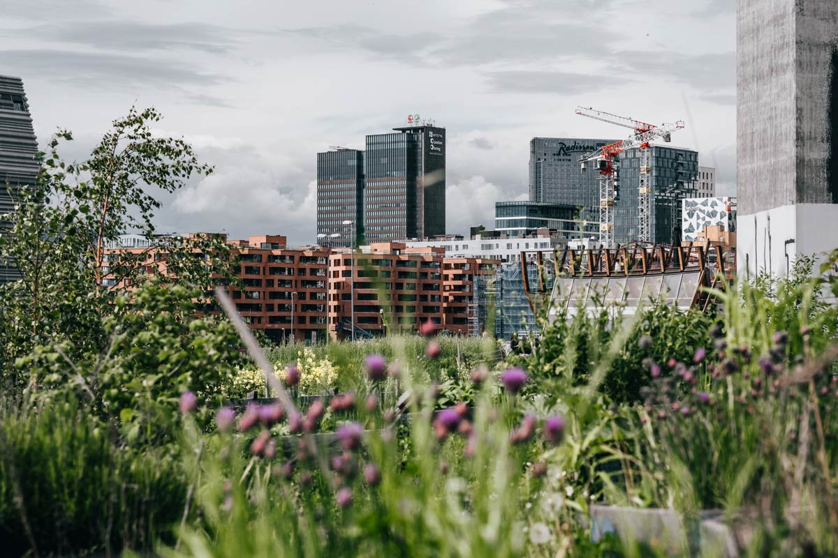 Visiter Oslo en 3 jours, un week-end au vert | Refuse to hibernate