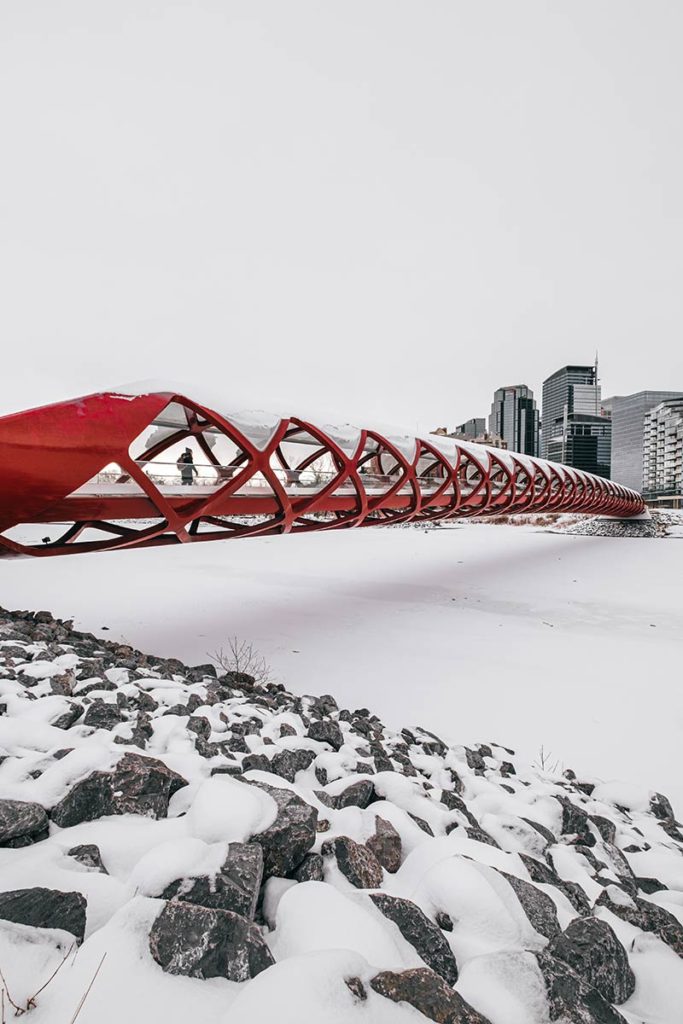 pont de la Paix Calgary Refuse to hibernate