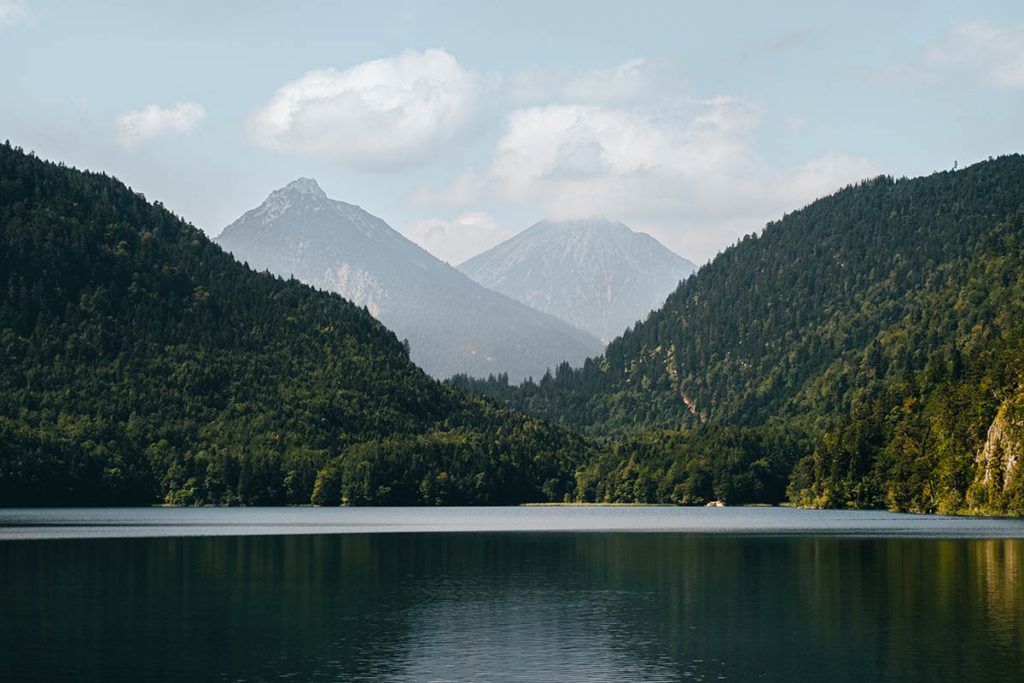 lac Alpsee Bavière Refuse to hibernate